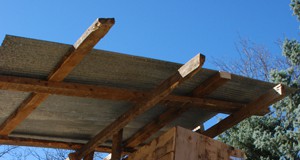 BMOCA explores the art of city chicken coops