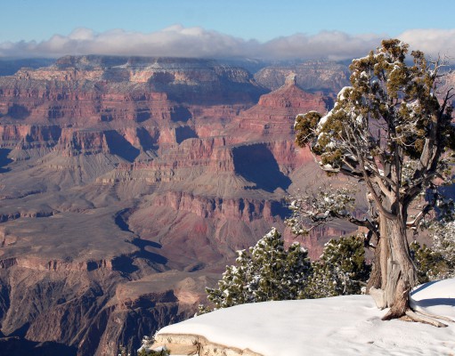 Payoff never comes in ‘The Canyon’