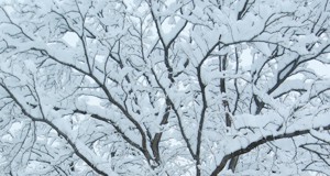 More snow expected today