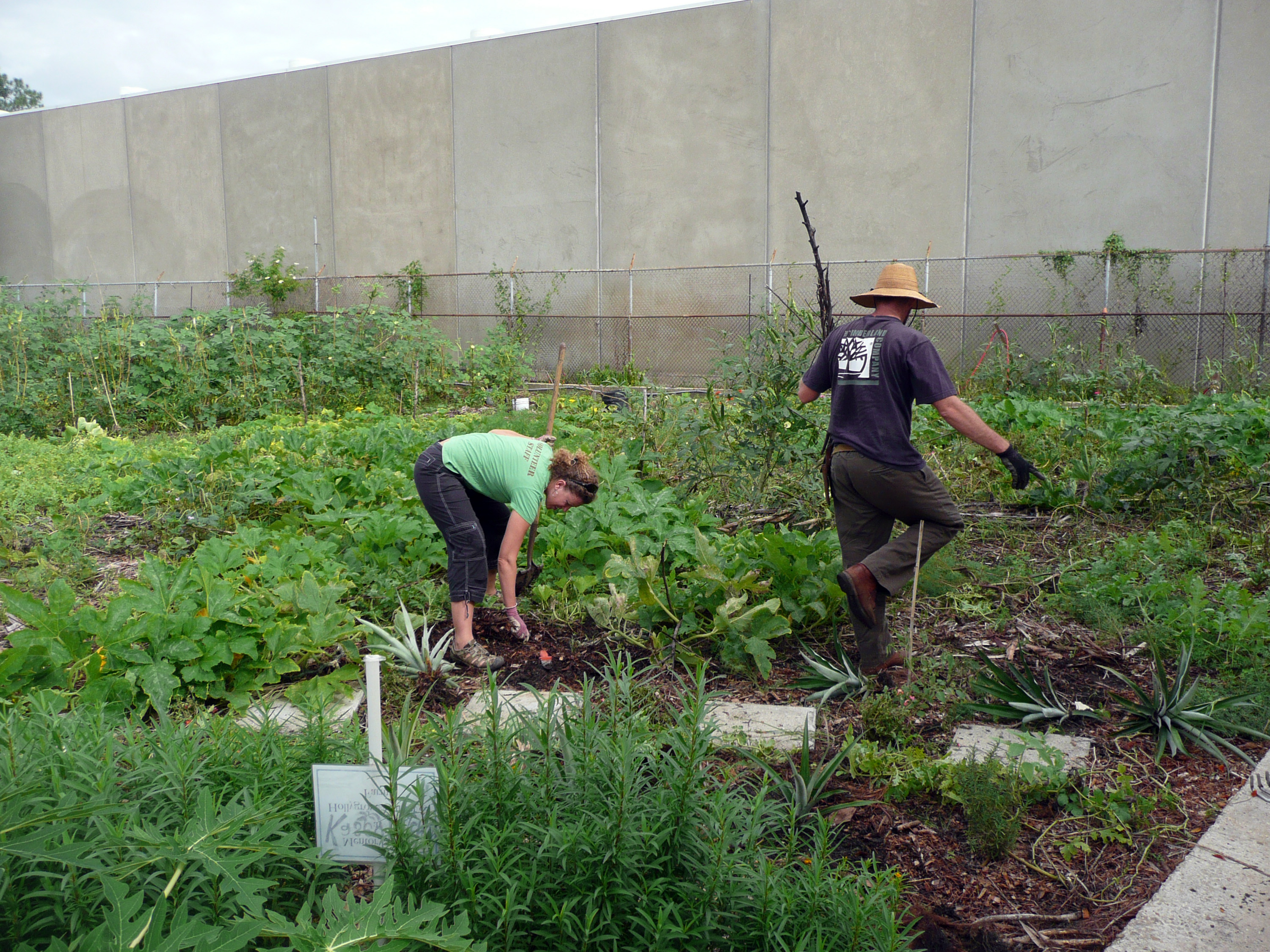 Post-Katrina food: The perfect storm in edible New Orleans