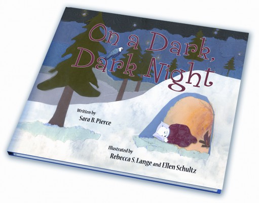 New children’s book deals with domestic violence