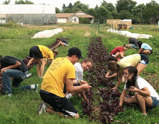 Membership gifts offer chance to share