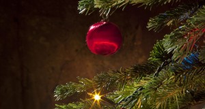 Favorite cookbooks for holiday giving