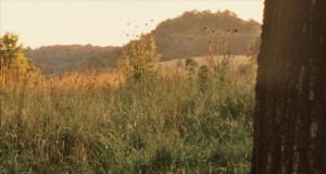 Top 10 albums of the decade