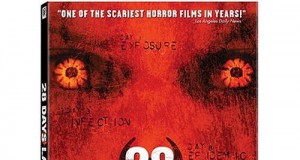 Top 10 films of the decade