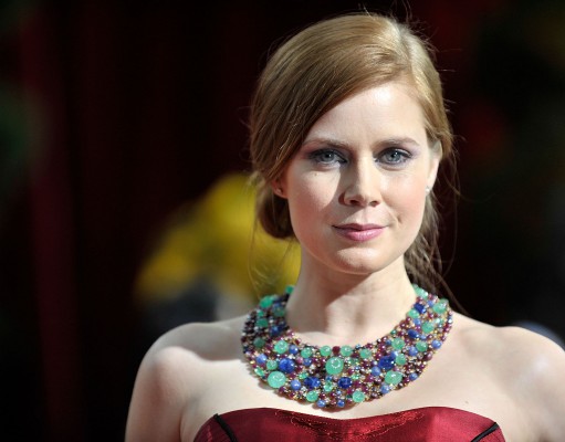 ‘Leap Year’ fits romantic comedy mold