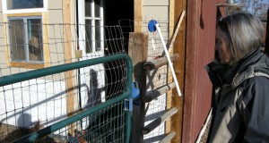 County approves permaculture classes at farm on 63rd