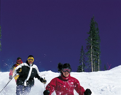 University of Colorado study finds that bumps travel