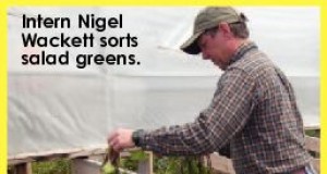 Gettin’ down with the farm