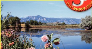 Summer Scene 2010: Rocky Mountain high