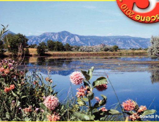 Summer Scene 2010: Rocky Mountain high