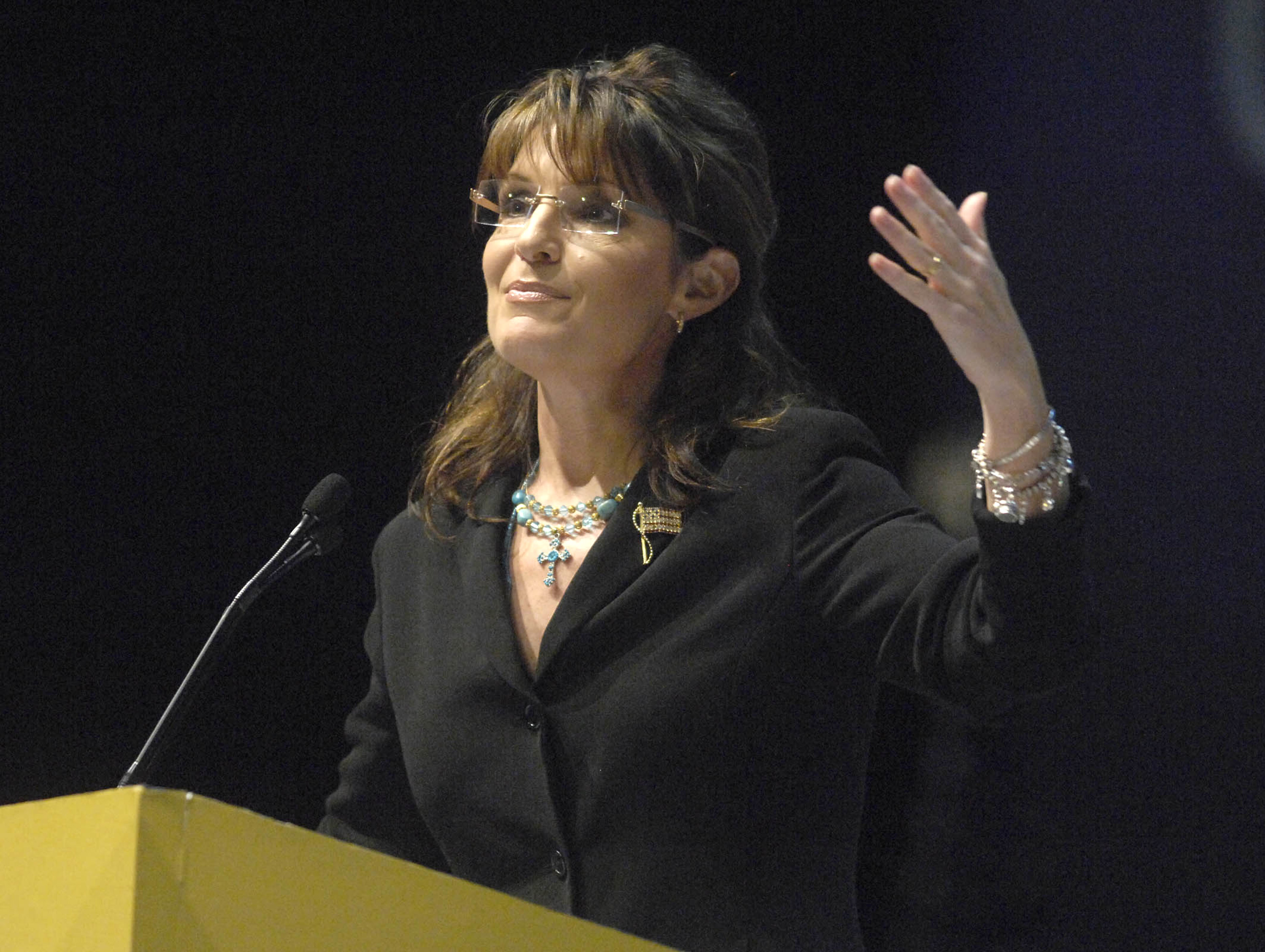 Palin suggests Obama’s oil ties are hindering spill cleanup