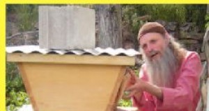 Keeping up with beekeeping