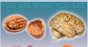 Help your organs by eating them