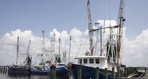 Oil spill causing trouble in paradise for hunters, anglers, guides