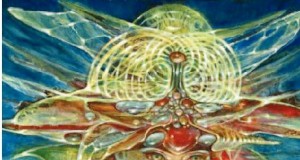 Martina Hoffmann’s world as art