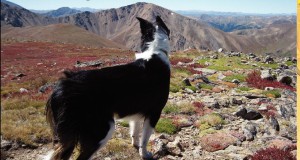 Elevated Reflections on the fourmile fire
