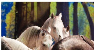 What has four legs and rocks?