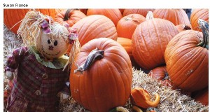 Pumpkin craze returns to Boulder County