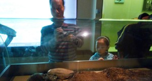 Mummies found in China shed some of their political sensitivity