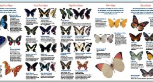 Winter Scene 2010: Winter fun for kids