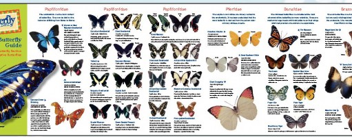 Winter Scene 2010: Winter fun for kids