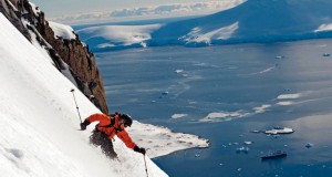 Winter Scene 2010: Winter screens