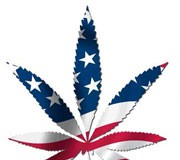 Campaign to legalize marijuana kicks off Wednesday