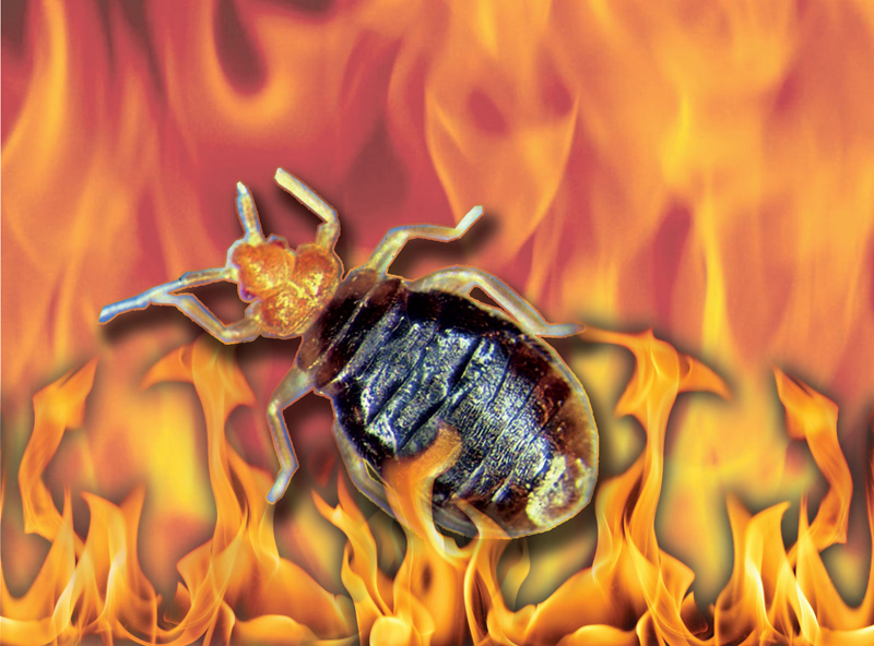 CU turns up the heat on pests