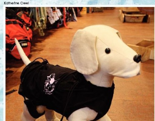 Purr-fect pet presents