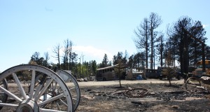 Colorado Mountain Ranch asks for tree donations