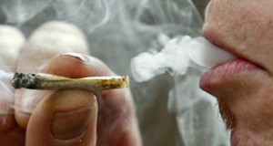 Levy defends marijuana DUI bill