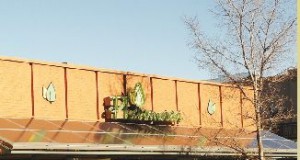 Pharmaca powers up with new solar technology