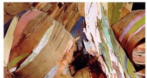 Repurposing meanings