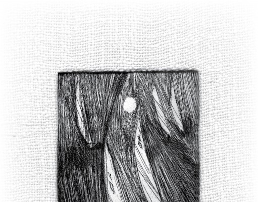 Textures of youth