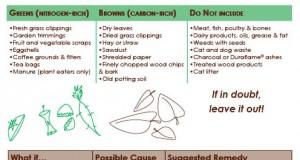 Don’t toss those scraps in the trash