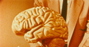 The poetry of cinema