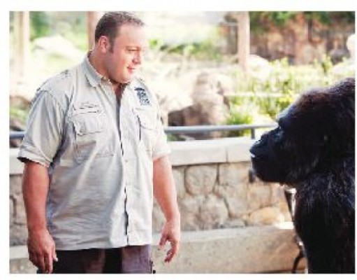 Night at the zoo