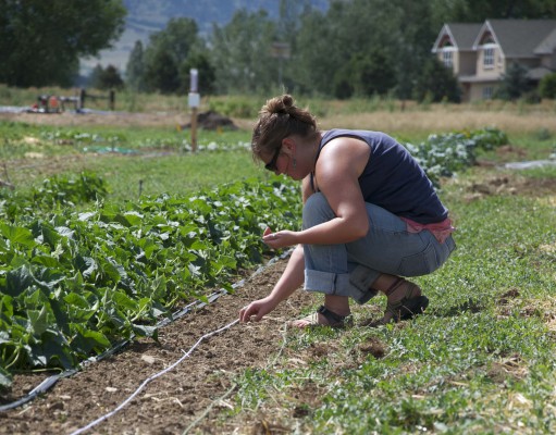 Cultivating farmers on small farms