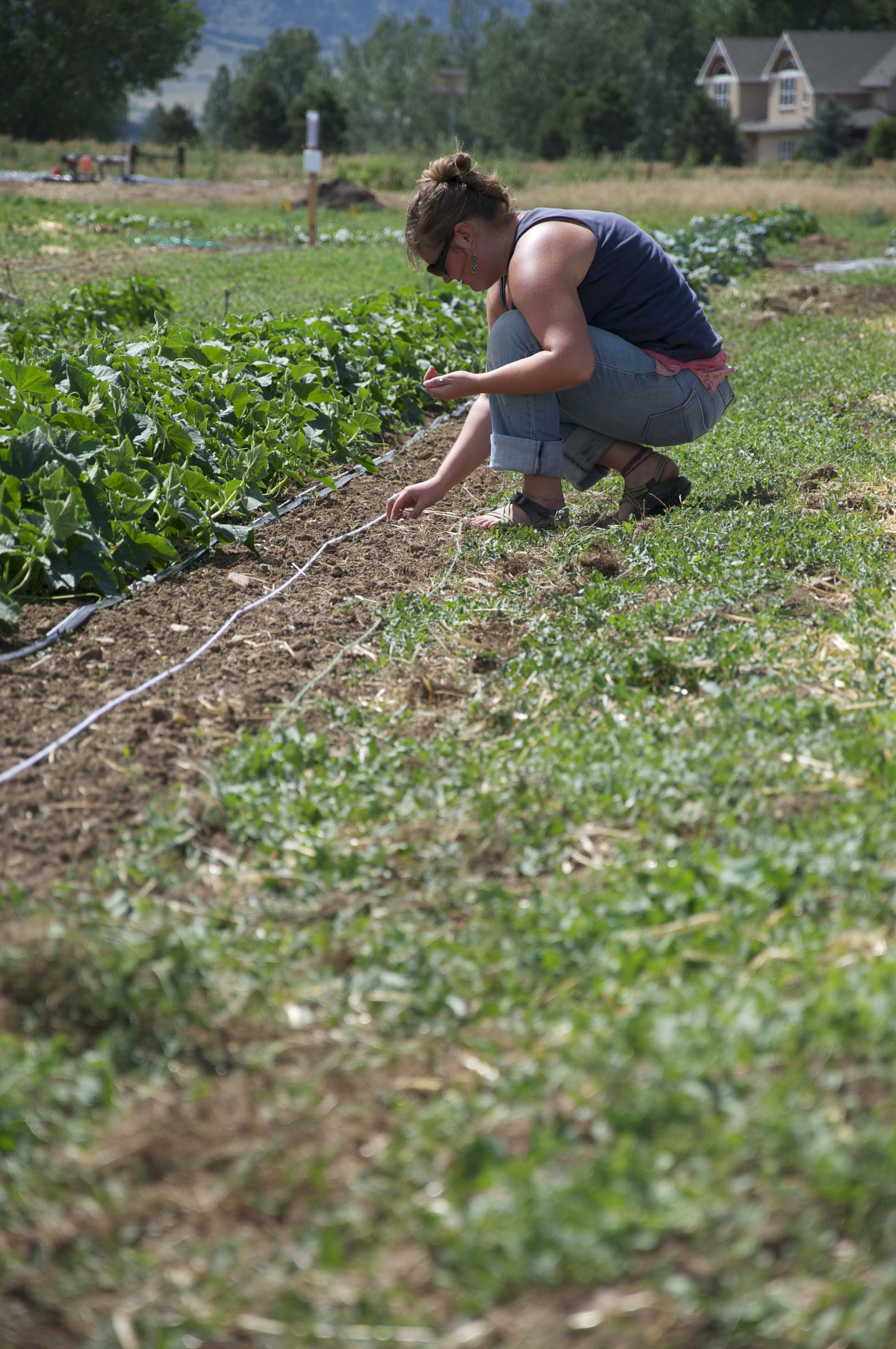 Cultivating farmers on small farms