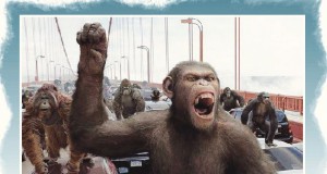 reel to reel | Week of August 4, 2011