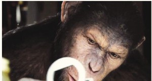 A tale of dirty, stinking apes