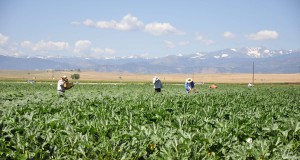 Make farm work a humane occupation