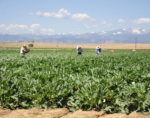 Make farm work a humane occupation