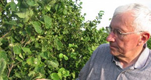 Expert: GMOs to blame for problems in plants, animals