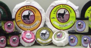 Tidbites | Earth Balance launches new products