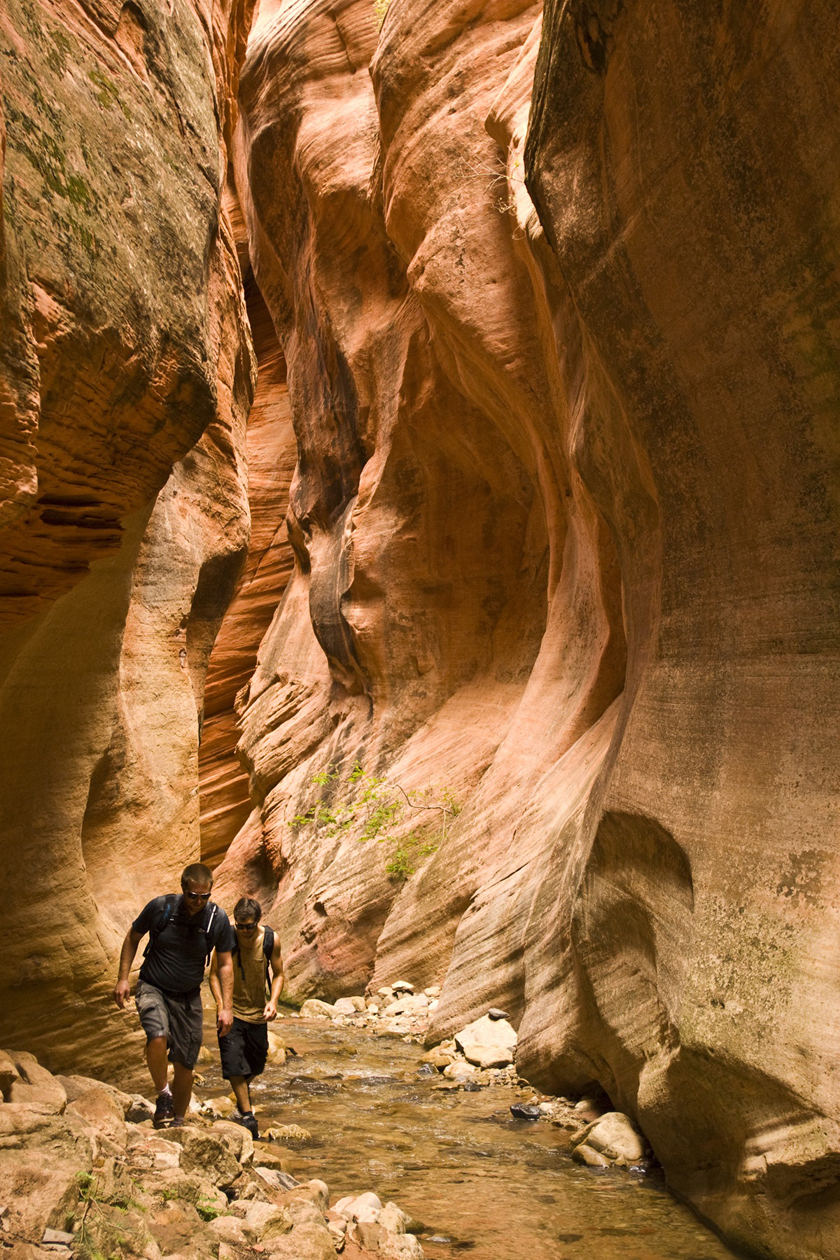 Into the Earth