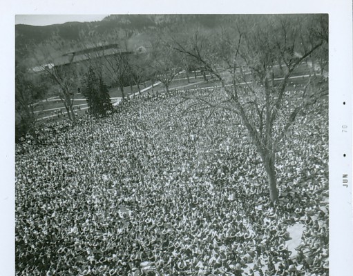 Historical hippies