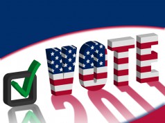 Vote 2011: Local elections, big issues