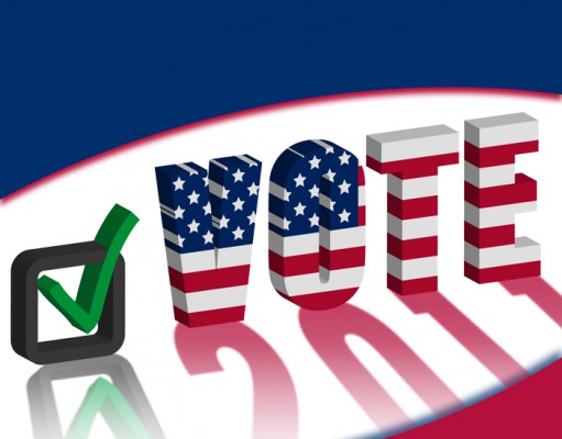 Vote 2011: Local elections, big issues